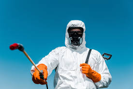 Best Residential Pest Control  in Van Buren, MO